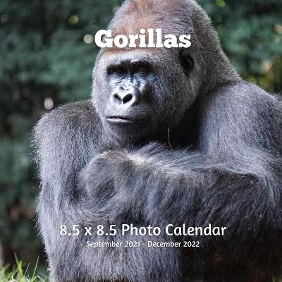 Book cover for Gorillas 8.5 X 8.5 Photo Calendar September 2021 -December 2022