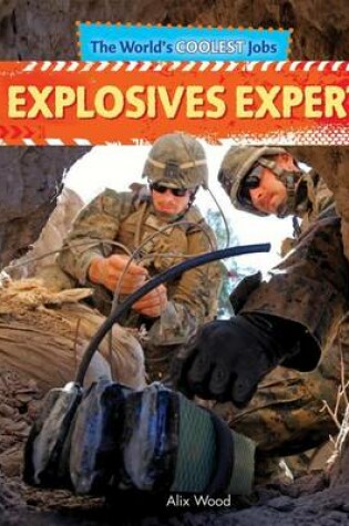 Cover of Explosives Expert