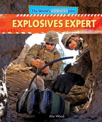 Book cover for Explosives Expert