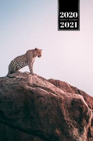 Cover of Panther Leopard Cheetah Cougar Week Planner Weekly Organizer Calendar 2020 / 2021 - Sunset on Mountain Top