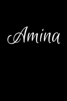 Book cover for Amina