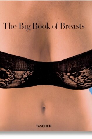 Cover of The Big Book of Breasts