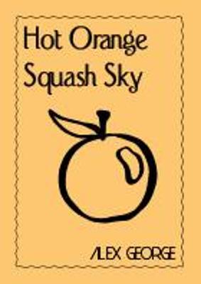 Book cover for Hot Orange Squash Sky