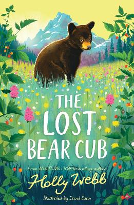 Book cover for The Lost Bear Cub