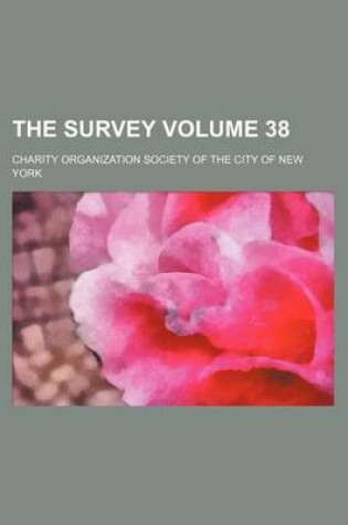 Cover of The Survey Volume 38