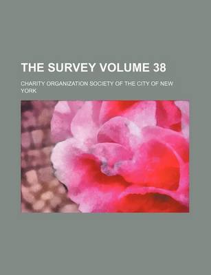 Book cover for The Survey Volume 38