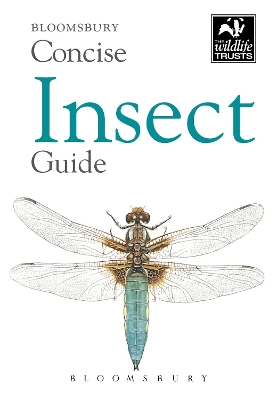 Book cover for Concise Insect Guide