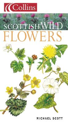 Cover of Scottish Wild Flowers