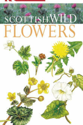 Cover of Scottish Wild Flowers