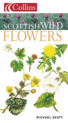 Book cover for Scottish Wild Flowers
