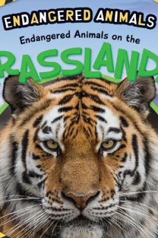 Cover of Endangered Animals on the Grasslands
