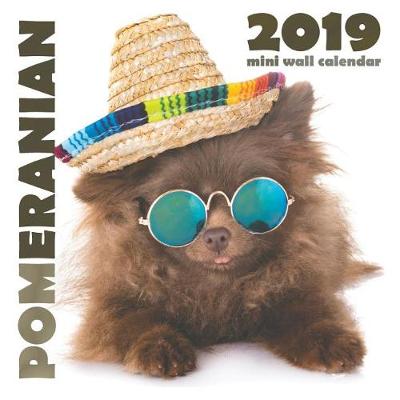 Book cover for Pomeranian 2019 Mini Wall Calendar