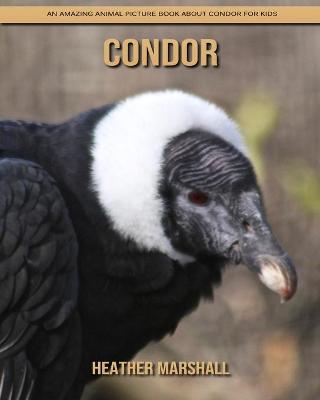 Book cover for Condor