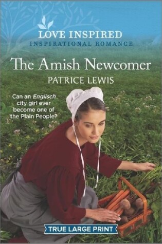 Cover of The Amish Newcomer