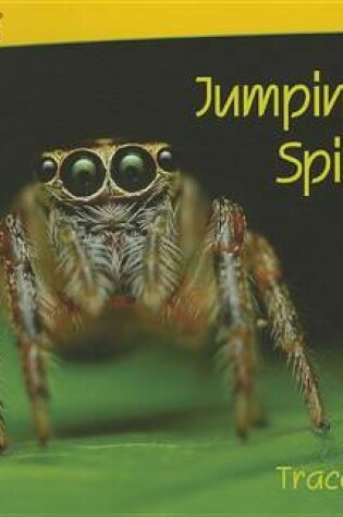 Cover of Jumping Spiders