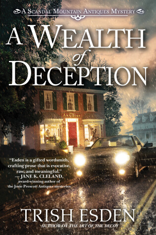 Cover of A Wealth of Deception