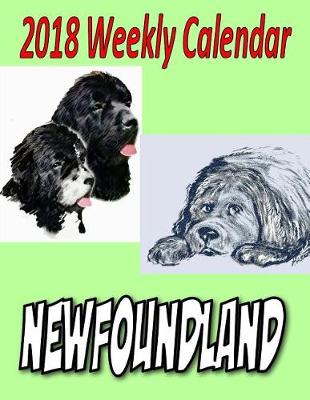 Book cover for 2018 Weekly Calendar Newfoundland