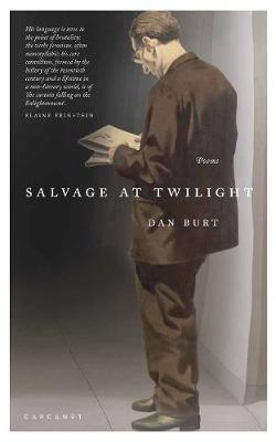Book cover for Salvage At Twilight