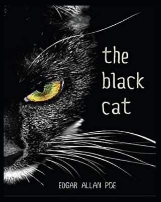 Book cover for The Black Cat(Annotated)