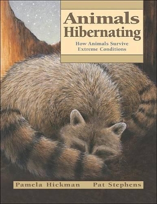 Book cover for Animals Hibernating