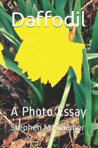 Cover of Daffodil