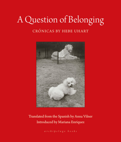 Book cover for A Question of Belonging