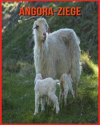 Book cover for Angora-Ziege