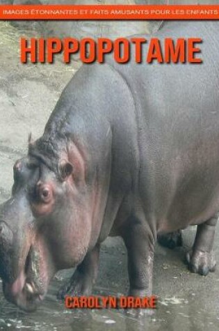 Cover of Hippopotame