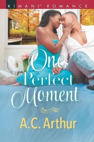 Cover of One Perfect Moment