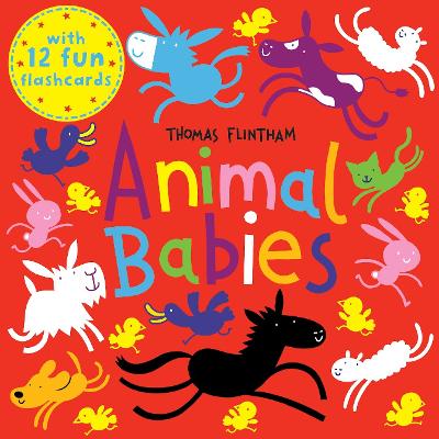 Book cover for Animal Babies