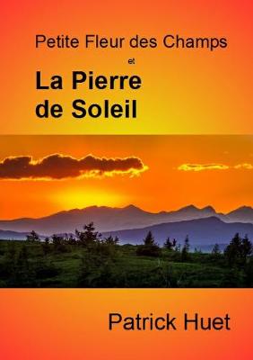 Book cover for Petite Fleur Des Champs Et La Pierre De Soleil