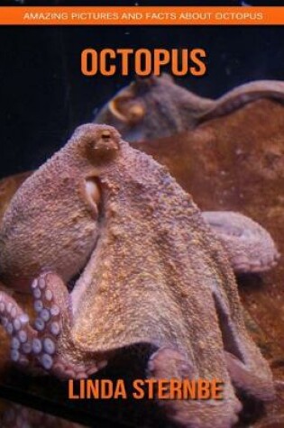 Cover of Octopus