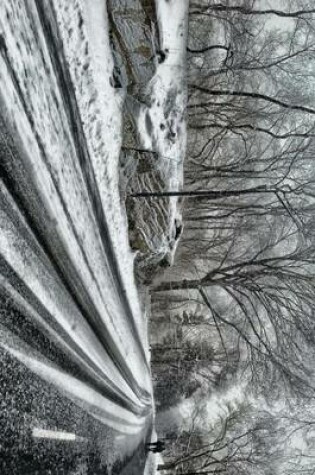 Cover of Strolling an Ice Covered Road in Central Park, New York City