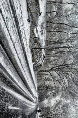 Book cover for Strolling an Ice Covered Road in Central Park, New York City