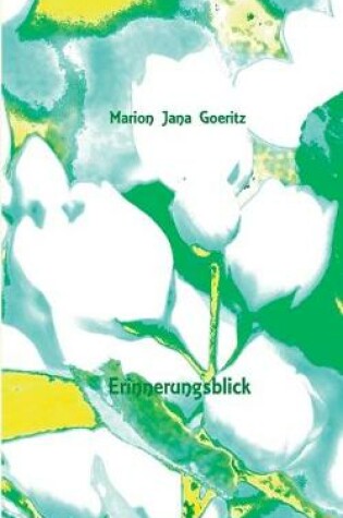 Cover of Erinnerungsblick