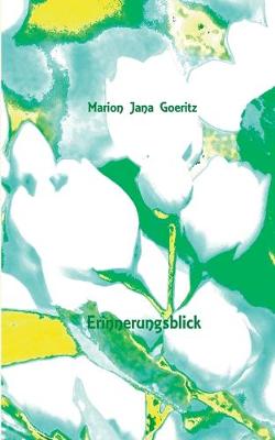 Book cover for Erinnerungsblick