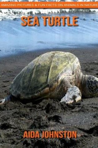 Cover of Sea Turtle