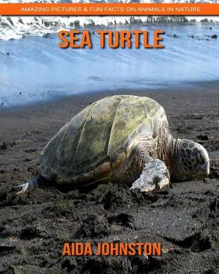 Book cover for Sea Turtle