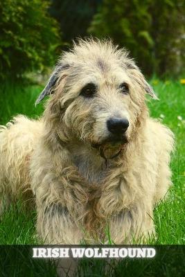 Book cover for Irish Wolfhound