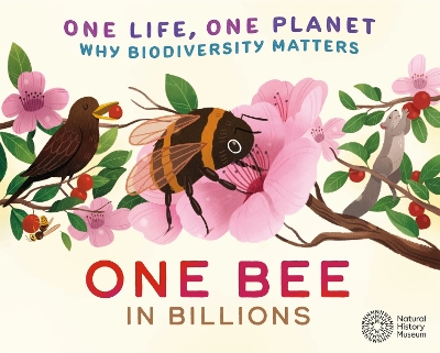 Book cover for One Life, One Planet: One Bee in Billions