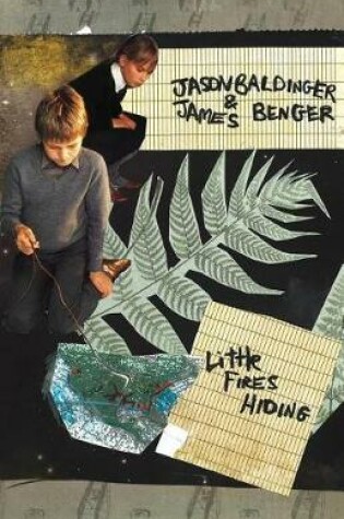 Cover of Little Fires Hiding