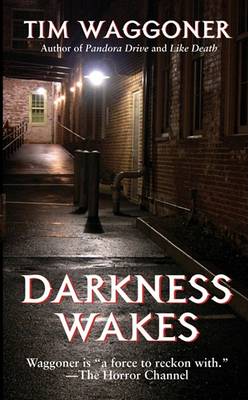 Book cover for Darkness Wakes