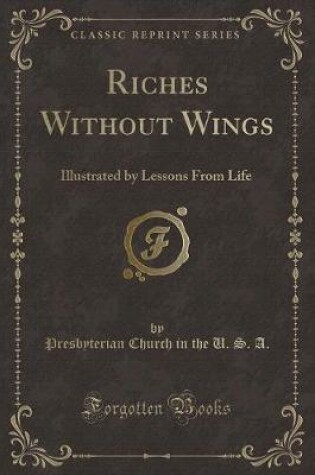 Cover of Riches Without Wings