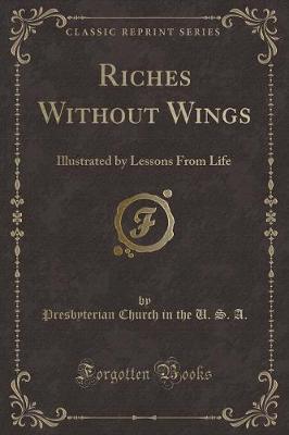 Book cover for Riches Without Wings