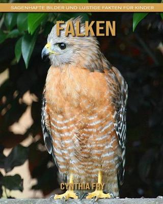 Book cover for Falken