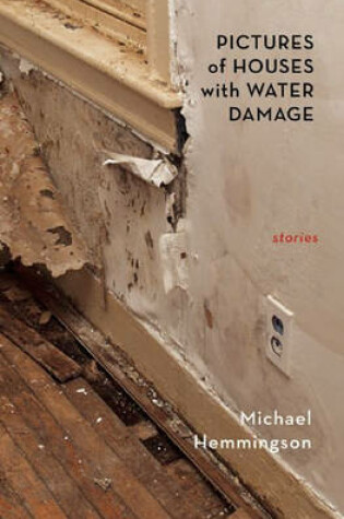 Cover of Pictures of Houses with Water Damage