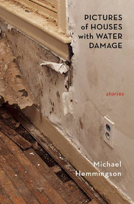 Book cover for Pictures of Houses with Water Damage