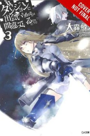 Cover of Is It Wrong to Try to Pick Up Girls in a Dungeon?, Vol. 3 (light novel)