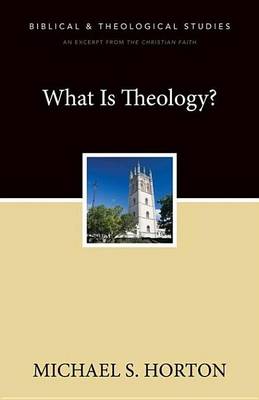 Book cover for What Is Theology?