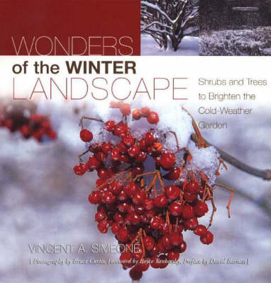 Book cover for Wonders of the Winter Landscape